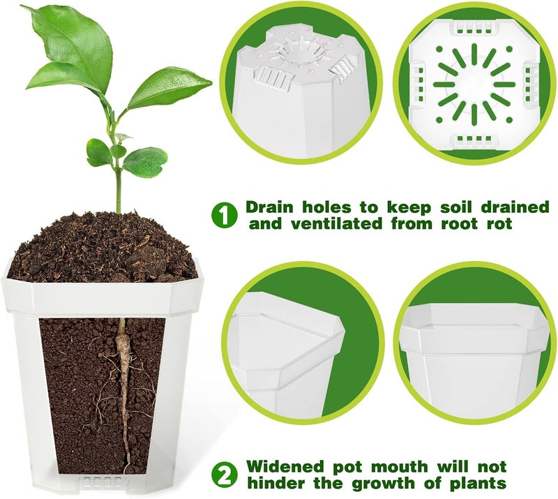 Foxany 3" Clear Nursery Pots, 30 Pcs Thick Plastic Plant Pot, Square Flower Planting Pot, Seedling Planter Seed Starter Pots with Saucers - Image 3